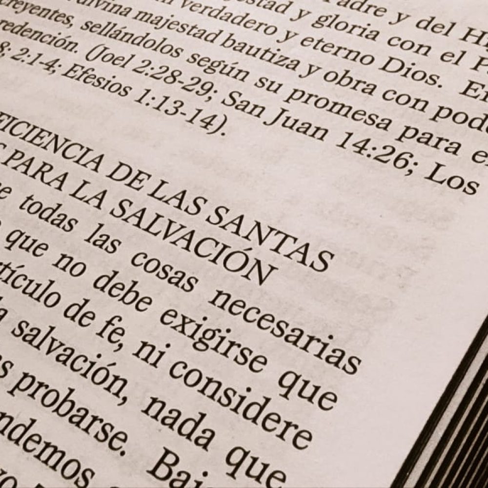 articulo